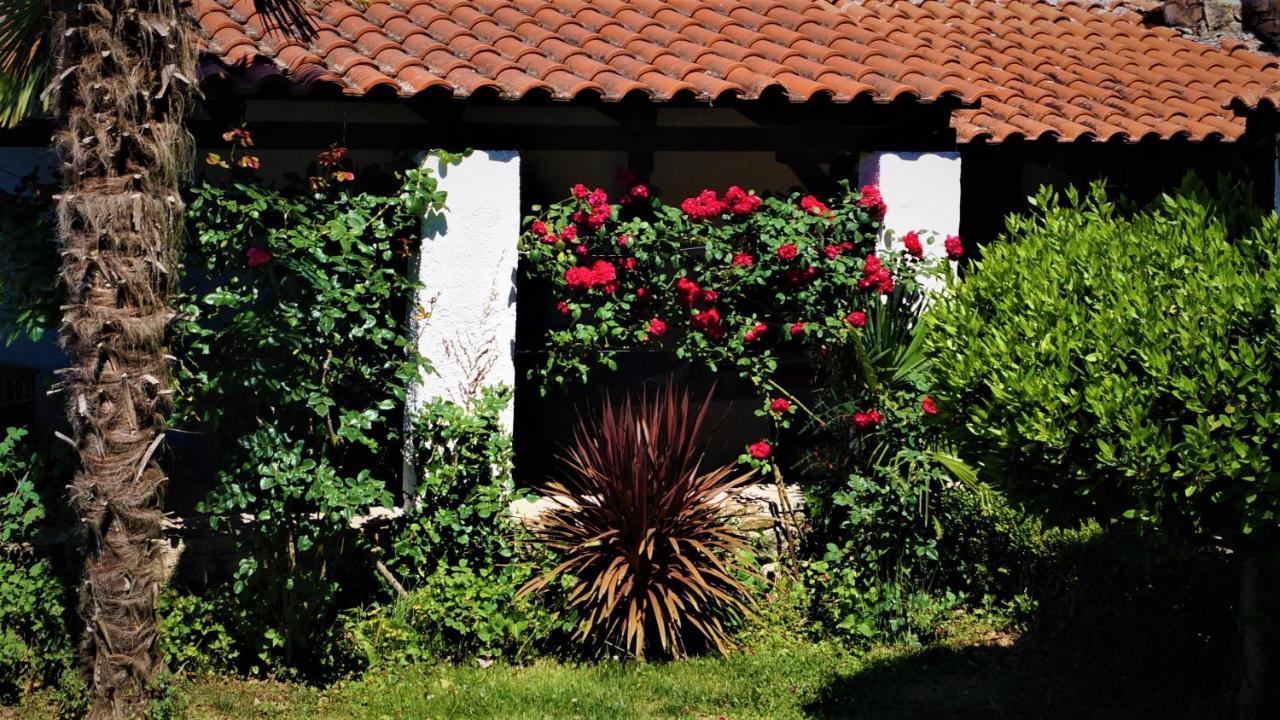 Apartments Garden Motovun Eksteriør bilde